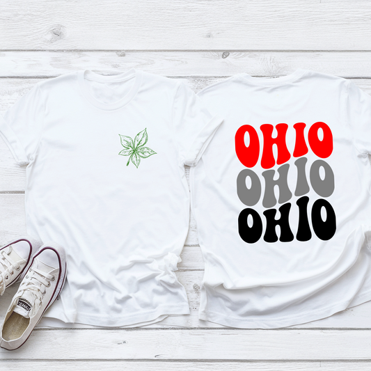 Ohio (front & back design)- Tee or Sweatshirt - Toddler, Youth & Adult